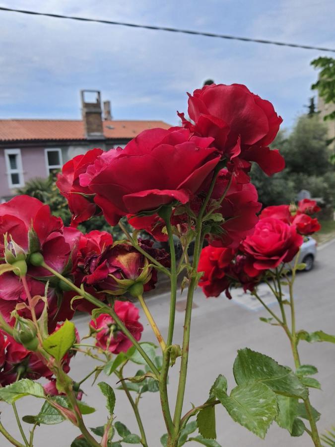 Apartmaji, Sobe - Obzidje Piran