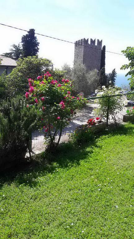 Apartmaji, Sobe - Obzidje 3* Piran