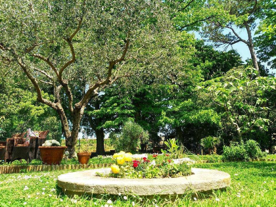 Gasthuis Apartmaji, Sobe - Obzidje